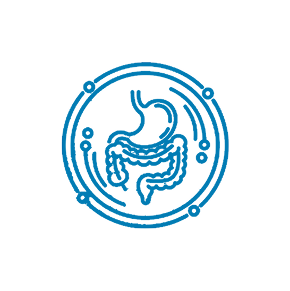 Gut Health